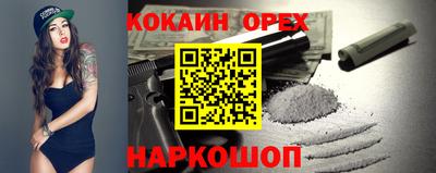 шишки Кимры