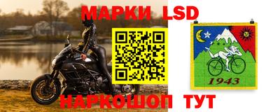 шишки Кимры