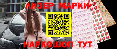 спайс Кингисепп
