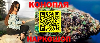 спайс Кингисепп