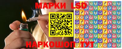гидропоника Кинель
