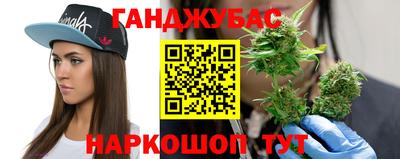 шишки Кимры