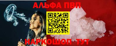 спайс Кингисепп
