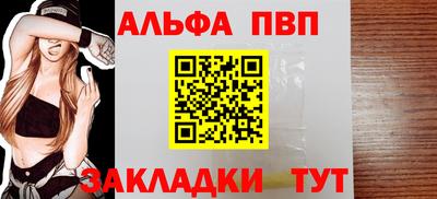 спайс Кингисепп