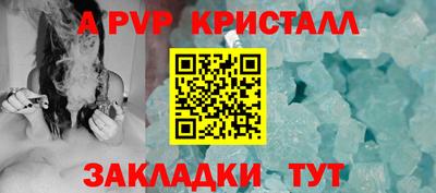 шишки Кимры