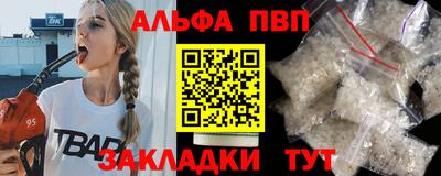 спайс Кингисепп