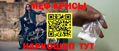спайс Кингисепп