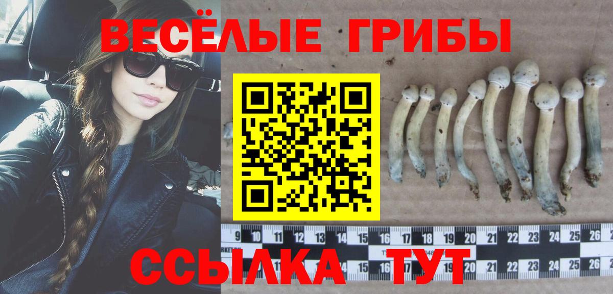 Псилоцибиновые грибы Cubensis Коряжма